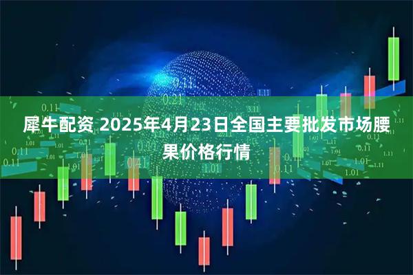 犀牛配资 2025年4月23日全国主要批发市场腰果价格行情