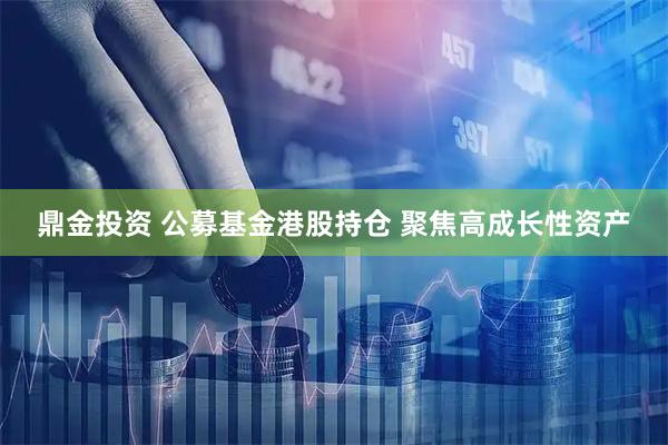 鼎金投资 公募基金港股持仓 聚焦高成长性资产